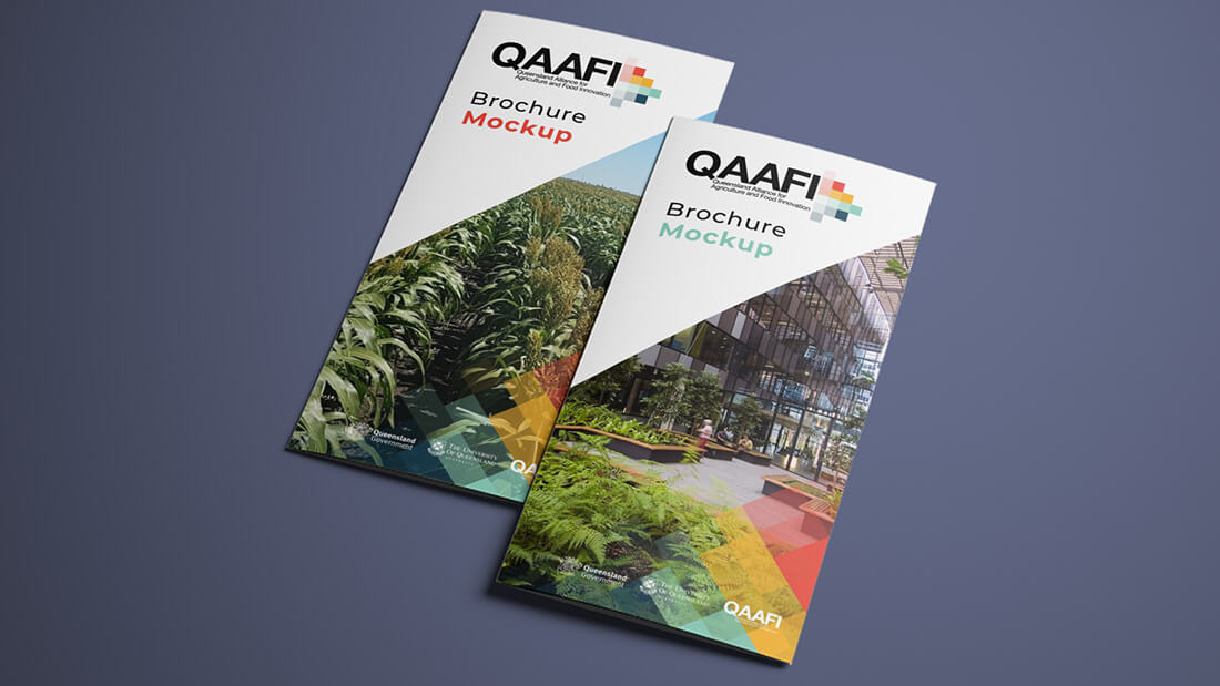 QAAFI_Brochure_Design