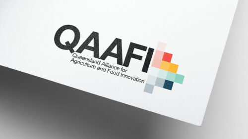 QAAFI_Logo_Concept