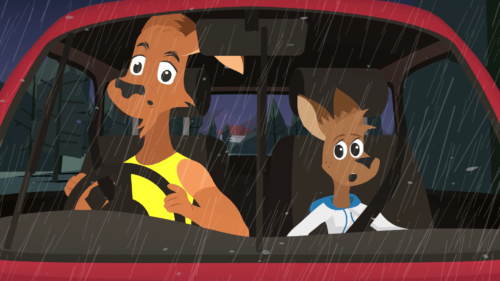 SUNSHINE COAST COUNCIL